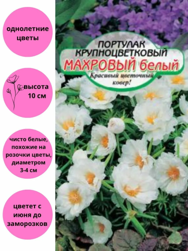 СИБИРСКИЕ СОРТОВЫЕ СЕМЕНА портулак белый махровый 0,05г